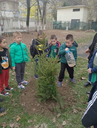 Засаждане на дървета в двора на детската градина 1