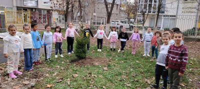 Засаждане на дървета в двора на детската градина 2
